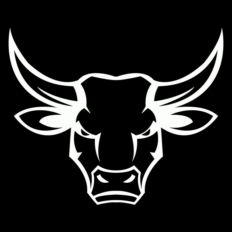 stier bull