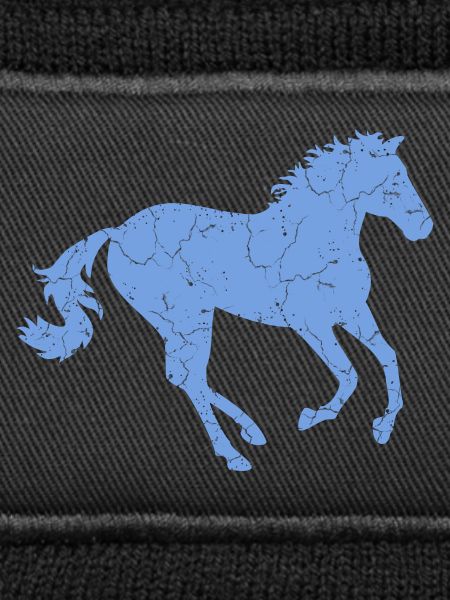 Galloping Horse