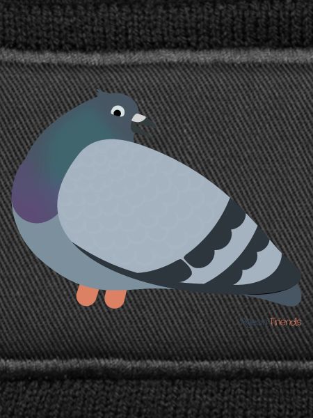 Pigeon pigeons