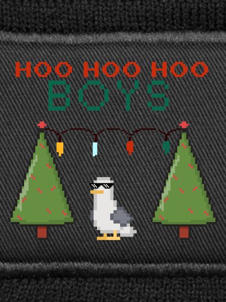 Pixel Seemöwe Weihnachts Boys
