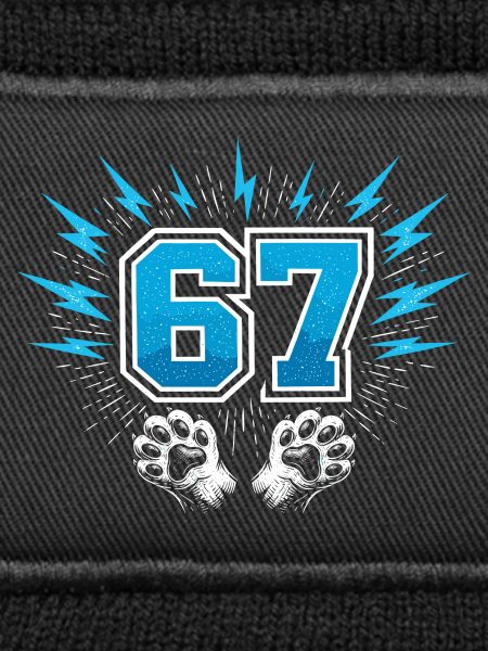 67 Six Seven - Katzenpfote