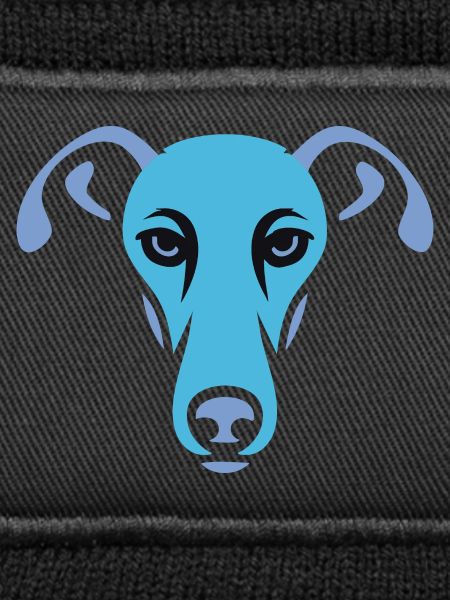 Greyhound, Galgo