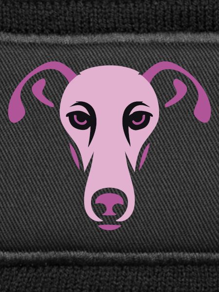 Lévrier, Galgo