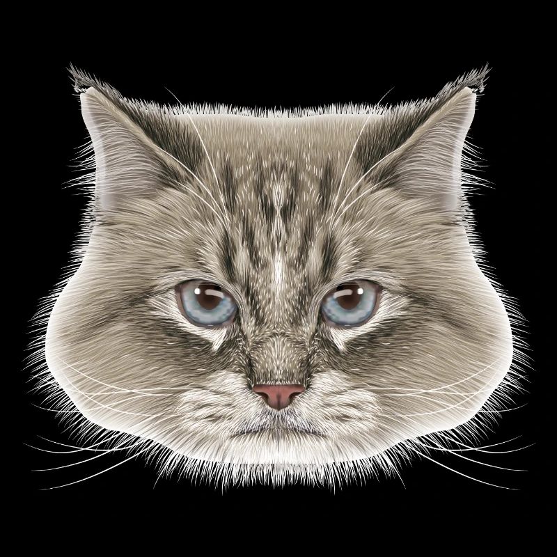 Siberian Cat