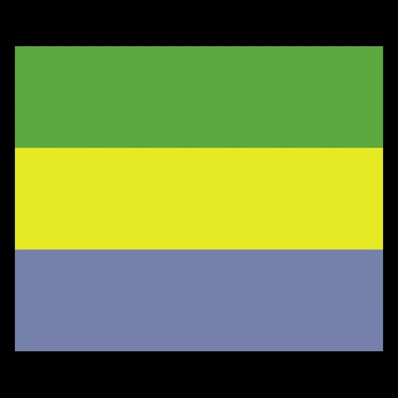 Drapeau gabonais