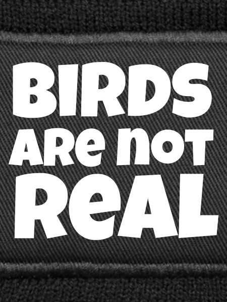 Birds Not Real Meme