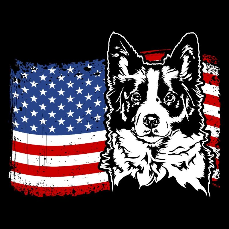 Border Collie US Amérique Drapeau Chiens Chien Wilsigns