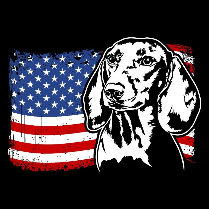 Teckel Teckel US Amérique Drapeau Chiens Wilsigns
