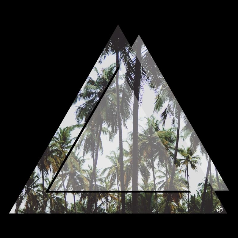 palmiers triangle