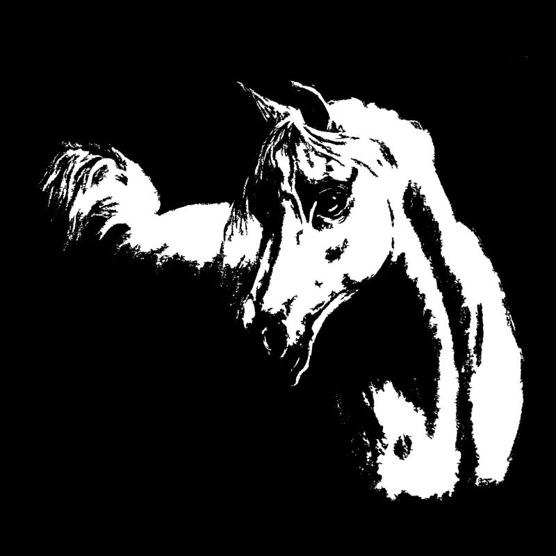 Cheval arabe