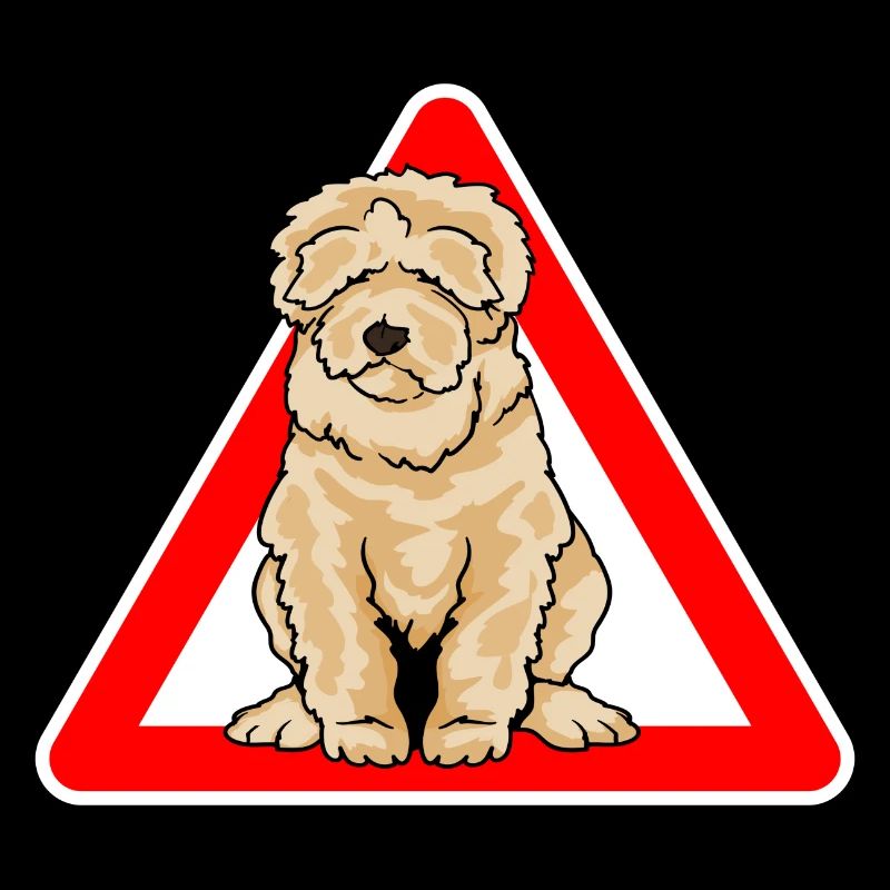 Labradoodle Goldendoodle Doodle Hund