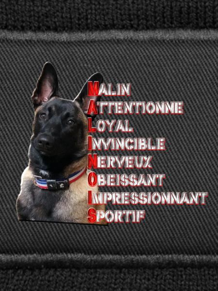 malinois