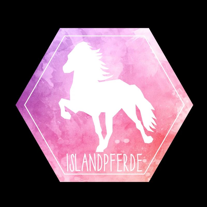 Islandpferd "Hexagon"