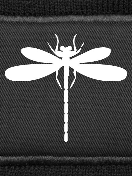 Dragonfly insect