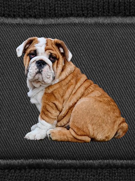Bulldog