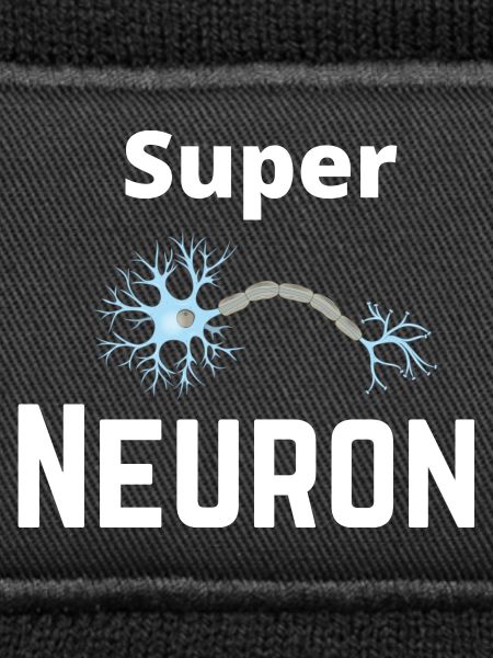 Superneuron-Netzwerk