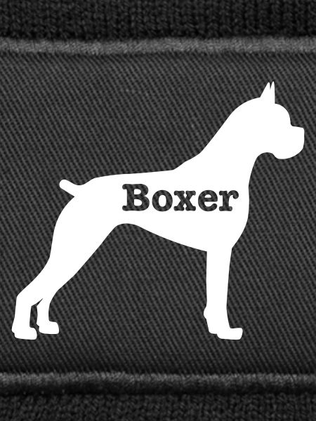Boxer