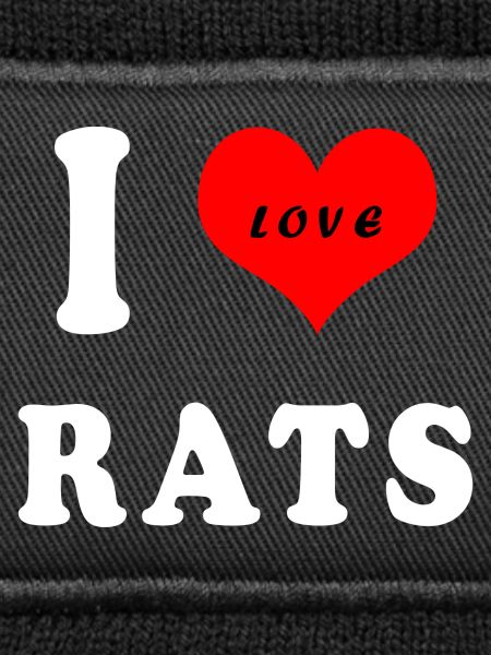 I love rats