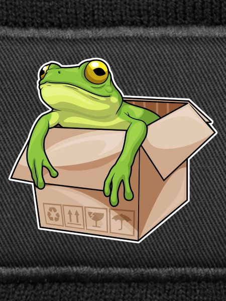 Frog Cardboard