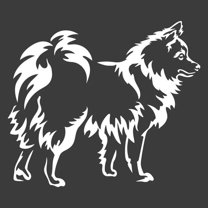 Spitz "Black Edition"