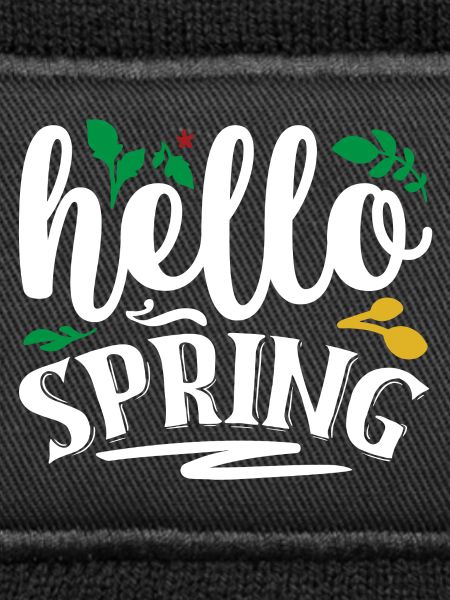 Hello Spring
