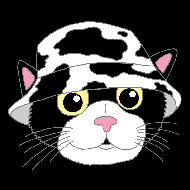 The kitten and its hat