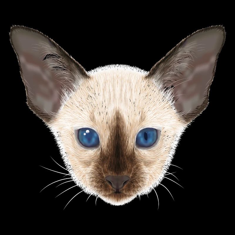Siamkatze 