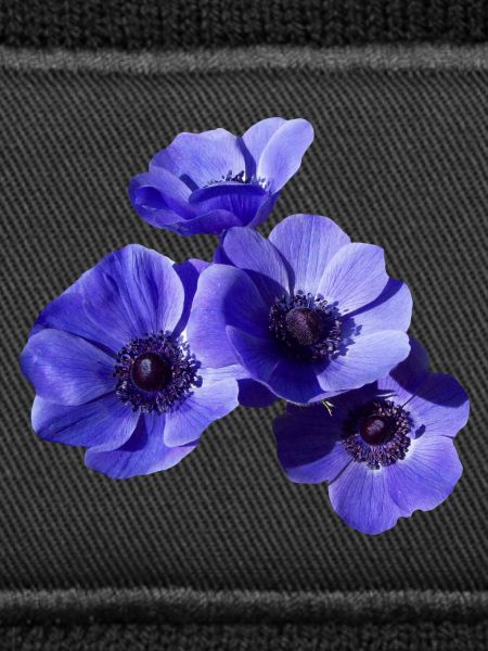 blaue Blumen