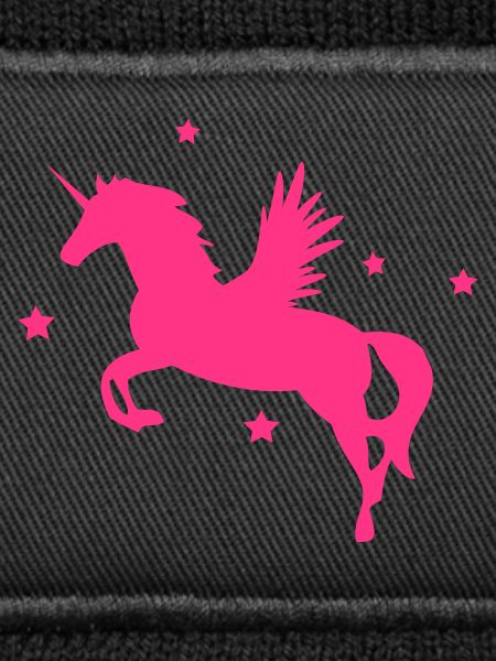 2541614 128509571 pegasus