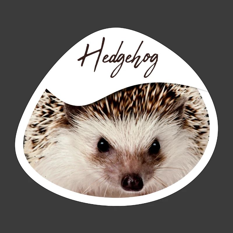 Hedgehog