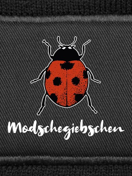 Modschegiebchen Marienkäfer Sächsisch Geschenk