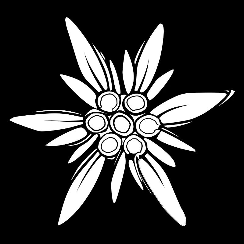 Edelweiss – Inspiring Mountain Flower