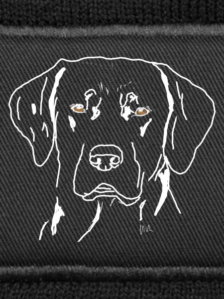 Labrador
