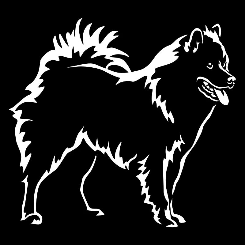 Eurasier "Black Edition"