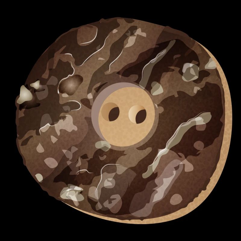 rustic button in staghorn look