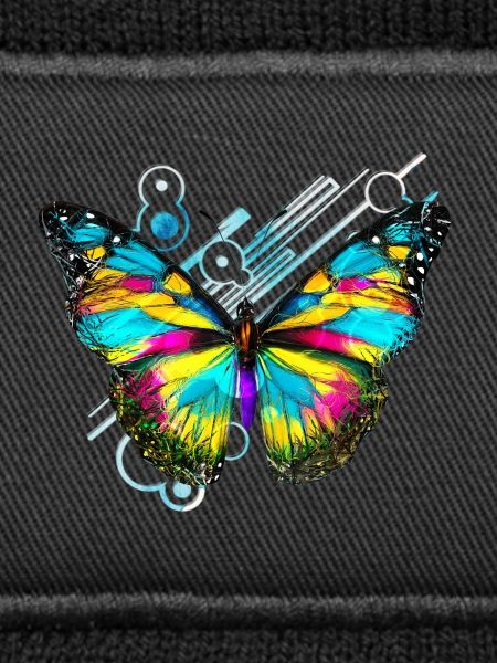 Abstract Rainbow Butterfly