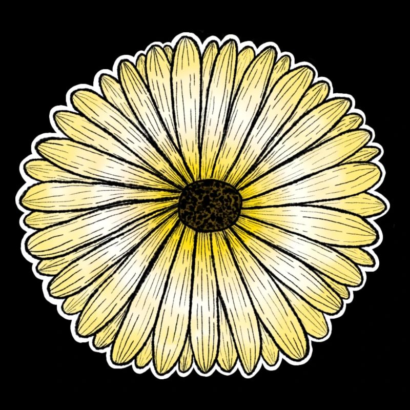 Gelbes Gänseblümchen