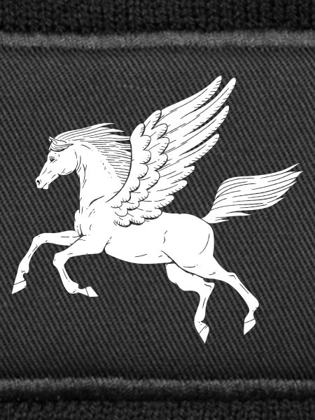Pegasus