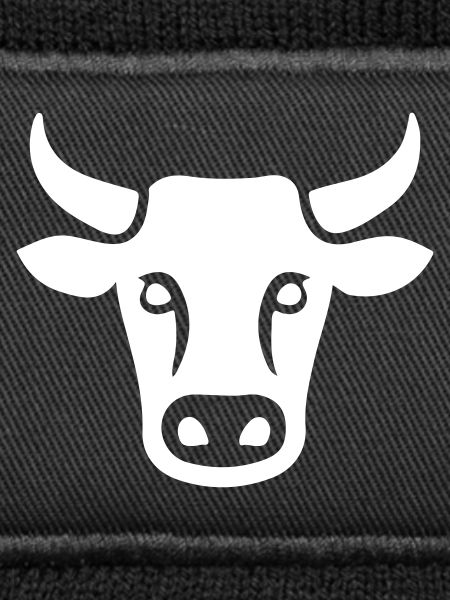 Cow Cattle Head