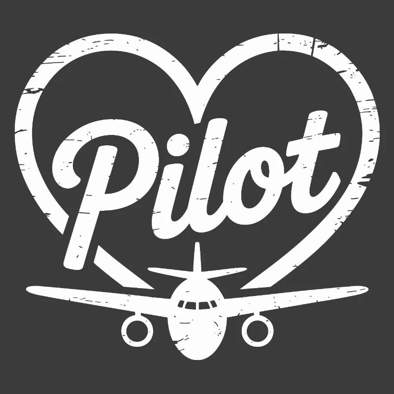 Conception d’un avion pilote
