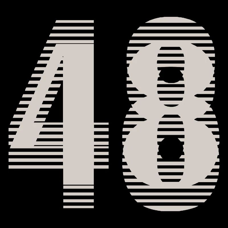 Numéro de course 48 – Passion du sport automobile