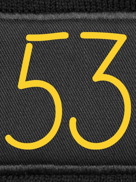 53