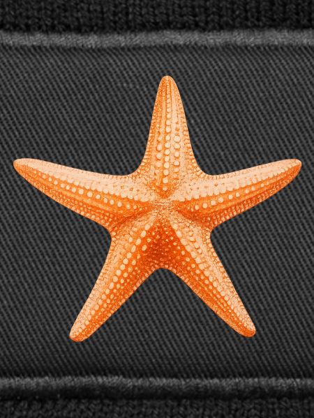Orangener Seestern Stranddesign