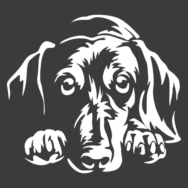Dachshund "Black Edition"