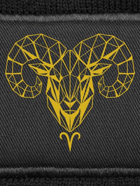 Geometric Goldram Skull