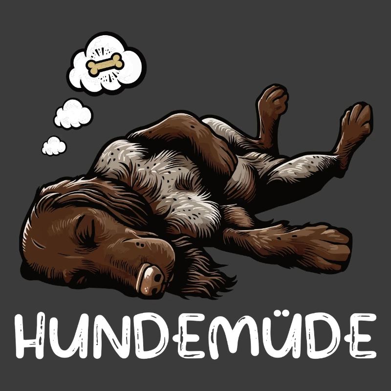 Hundemüde Deutsch Drahthaar drahthaar hunde