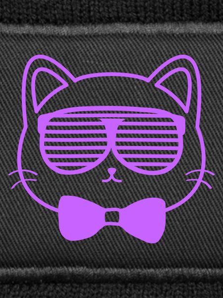 Cat with sunglasses