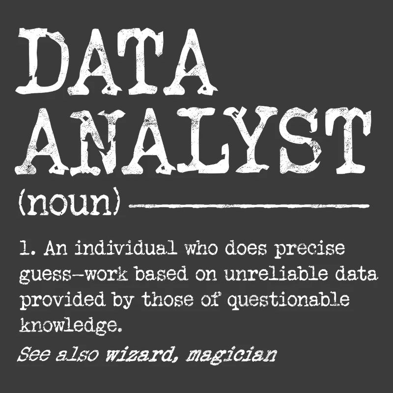 Data Analyst Meme Tee