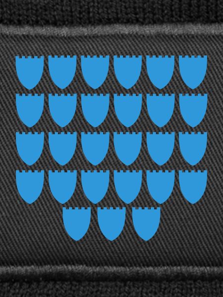 Blue Shield Muster