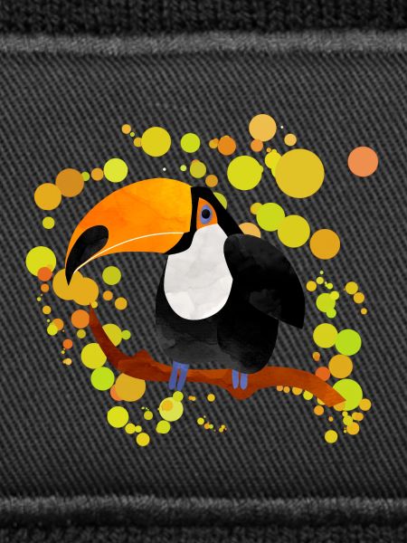 Toucan